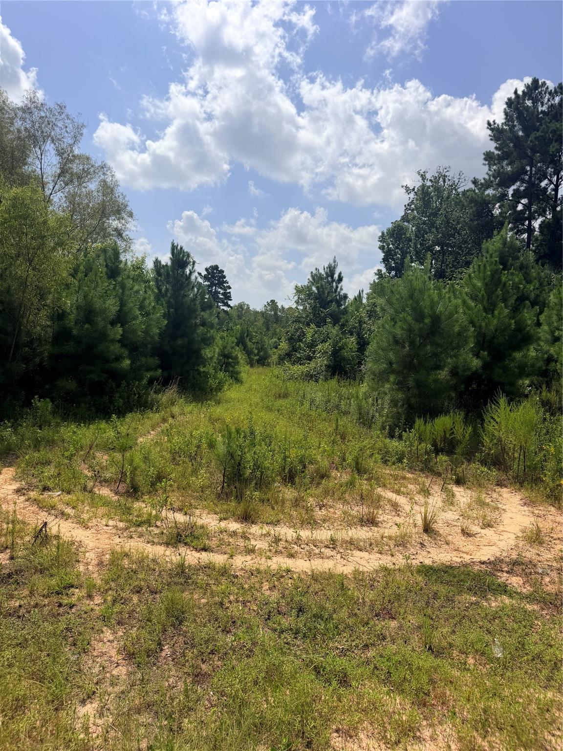 385 County Road 3773