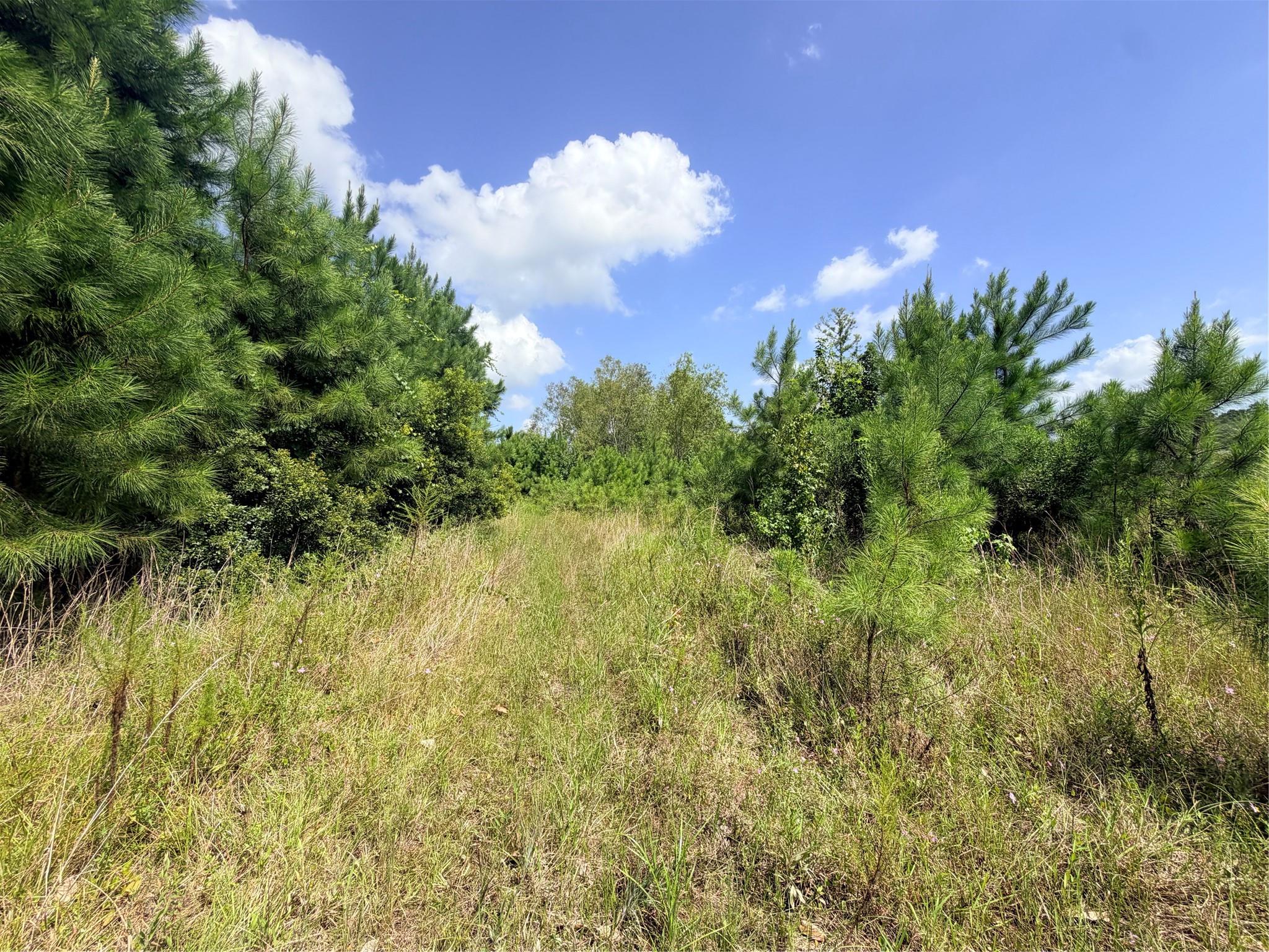 385 County Road 3773