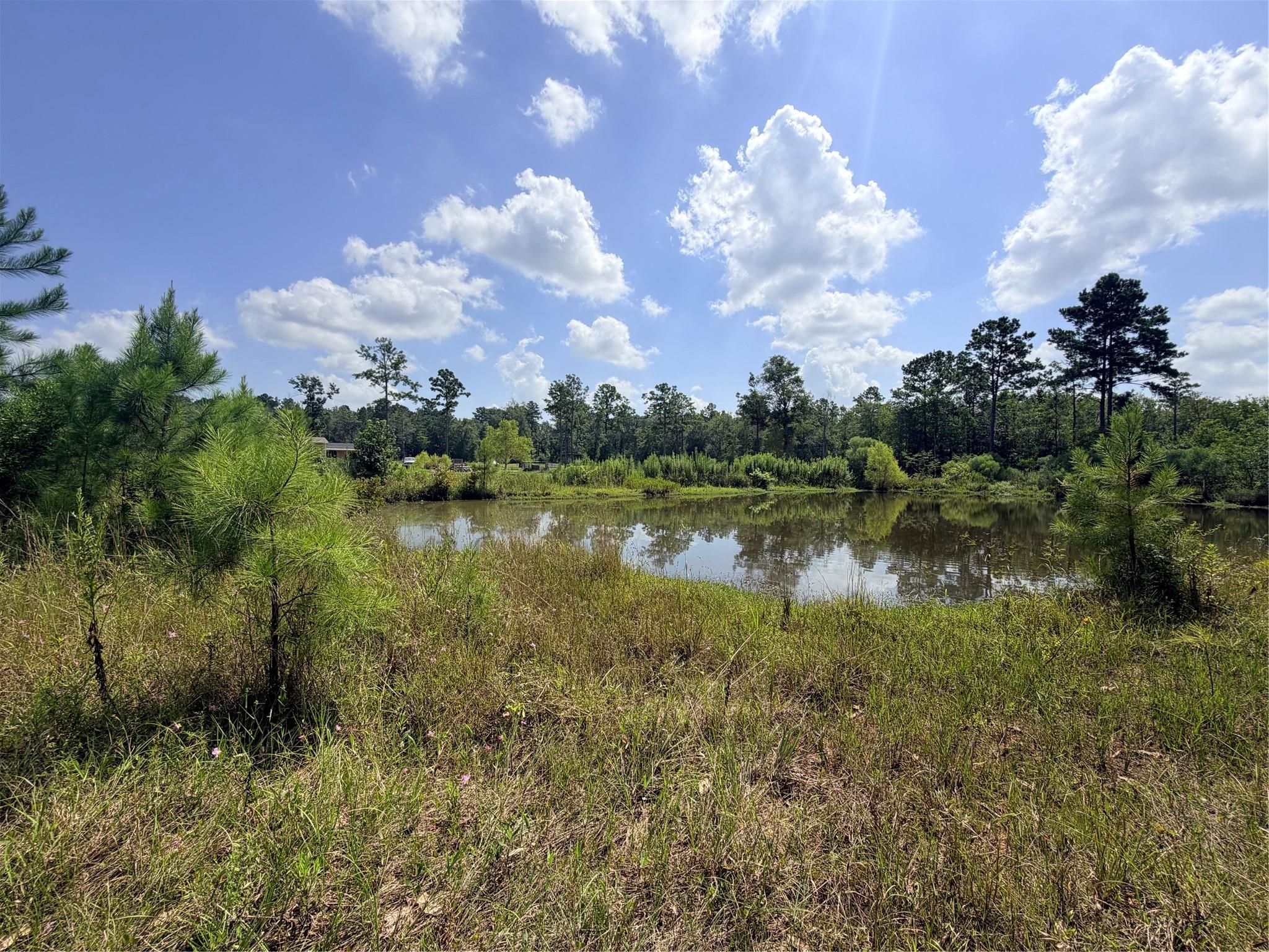 385 County Road 3773