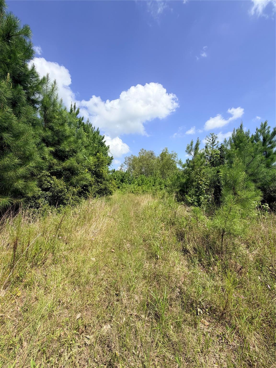 385 County Road 3773