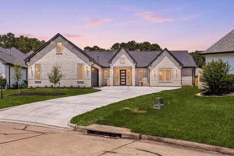 Photo of 71 Camden Hills Drive, Montgomery, TX 77356 (MLS # 14559780)