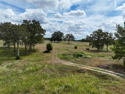 Photo of 6275 County Road 206, Plantersville, TX 77363 (MLS # 32907963)