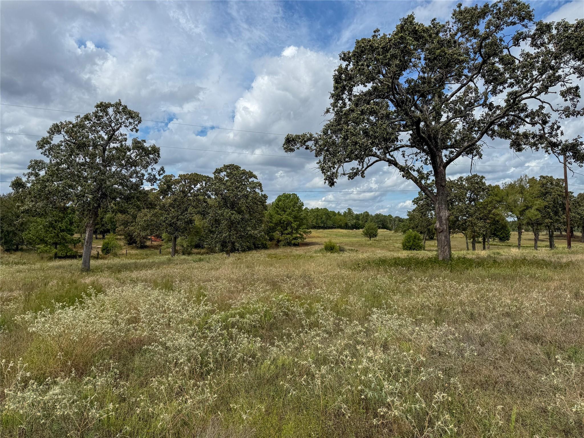 6275 County Road 206