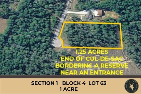 Photo of 1 Courage Trail, New Waverly, TX 77358 (MLS # 76473507)