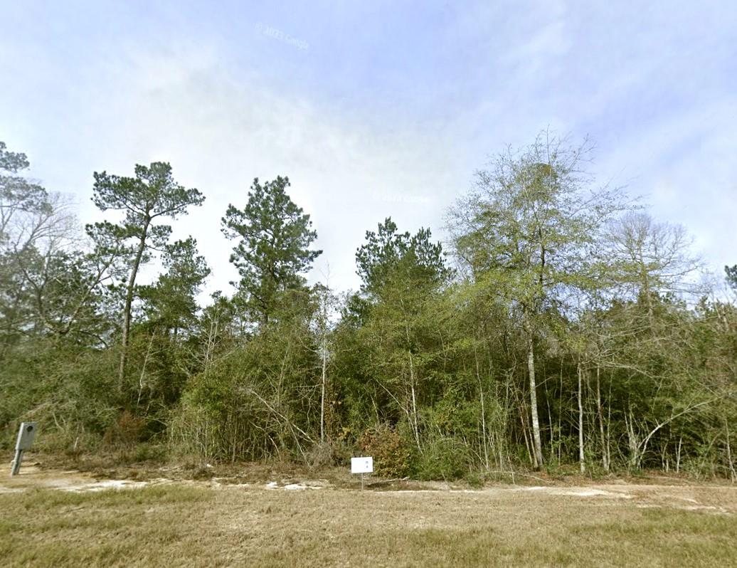 1-4-63 Courage Trail