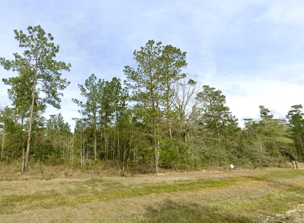 1-4-63 Courage Trail