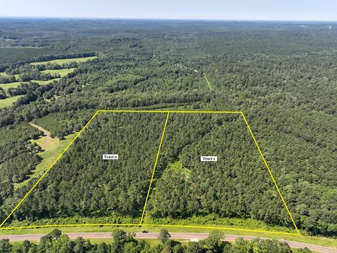 Vacant Land For Sale - 4 Highway 87<br/> Sabine County, Milam, TX 75959