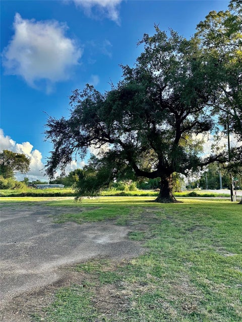 Photo of 101 N Market Street, Brazoria, TX 77422 (MLS # 32789277)