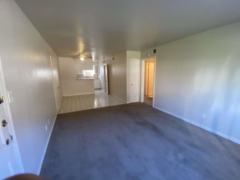 3114 Falk Court 3114