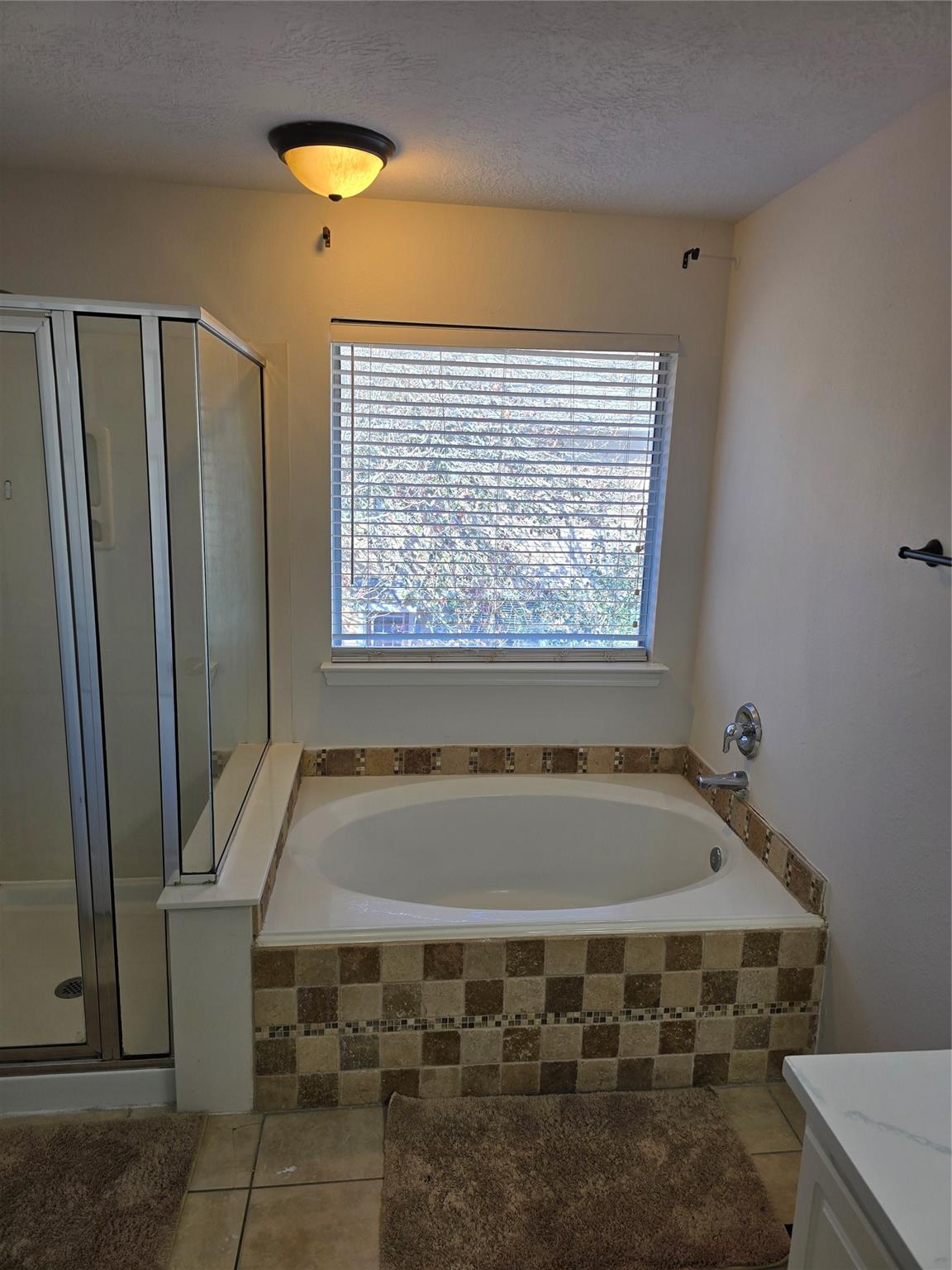 17515 Bering Bridge Lane