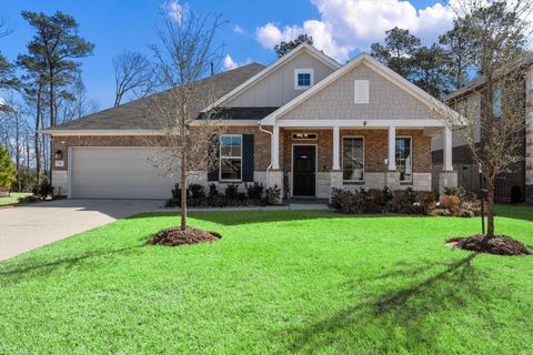 713 Ivory Creek Court Willis TX 77378