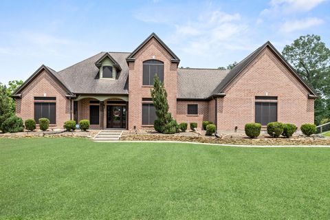 Photo of 438 W Pineshadows Drive, Sour Lake, TX 77659 (MLS # 58345239)