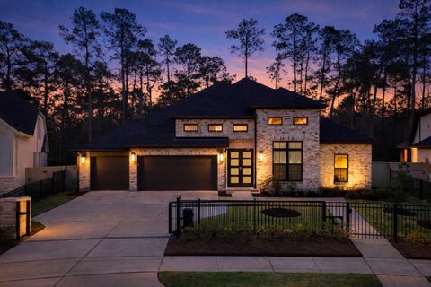 30 Arctic Tern Circle Magnolia TX 77354