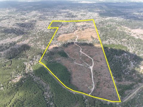 Vacant Land For Sale - County Road 37<br/> Jasper, TX 75951