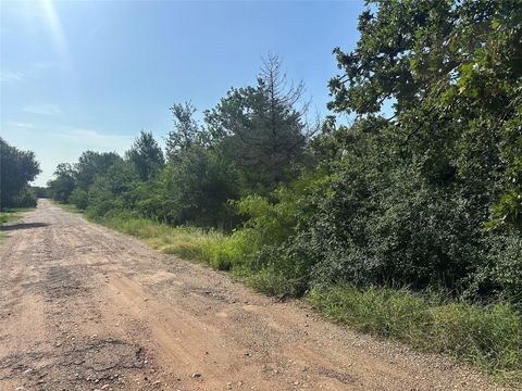 Vacant Land For Sale - 600 Blueberry Hill Road<br/> Burleson County, Somerville, TX 77879