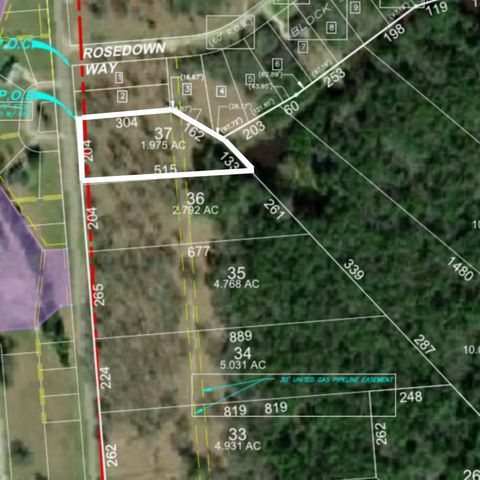 Lot 37 Lake Livingston Lane Trinity TX 75862