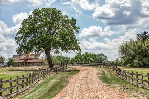Tiny photo for 7157 Fm 1697 Tract 3, Carmine, TX 78932 (MLS # 74481949)