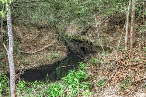 Tiny photo for 7157 Fm 1697 Tract 3, Carmine, TX 78932 (MLS # 74481949)