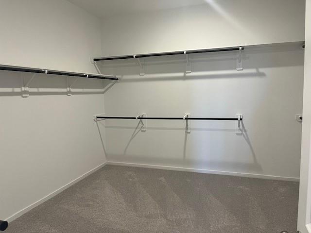 2907 Palm Branch Drive