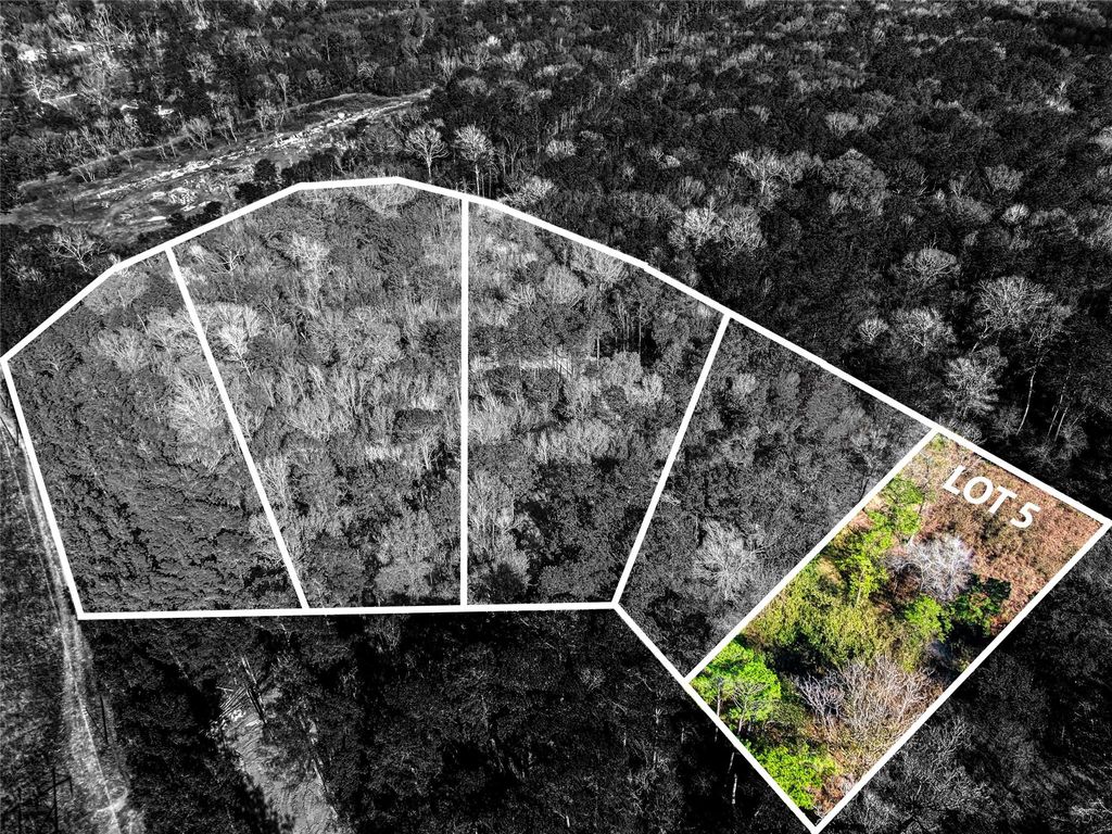 Photo of 0 Roman Forest Tbd, Roman Forest, TX 77357 (MLS # 20233424)