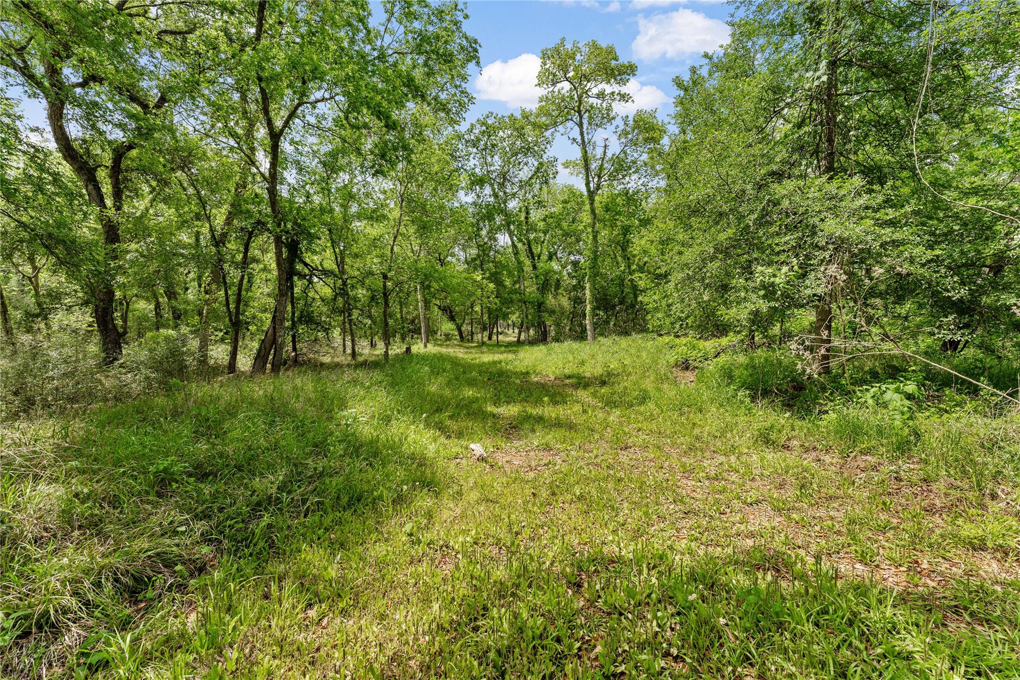 0 Kings Oak Drive