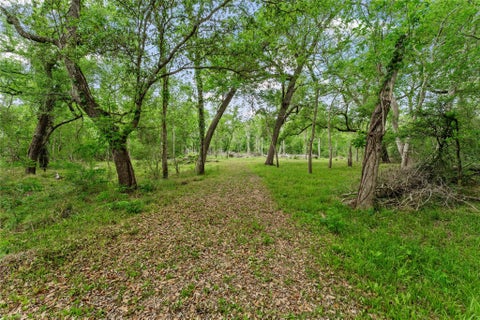 Vacant Land For Sale - Kings Oak Drive<br/> Damon, TX 77430