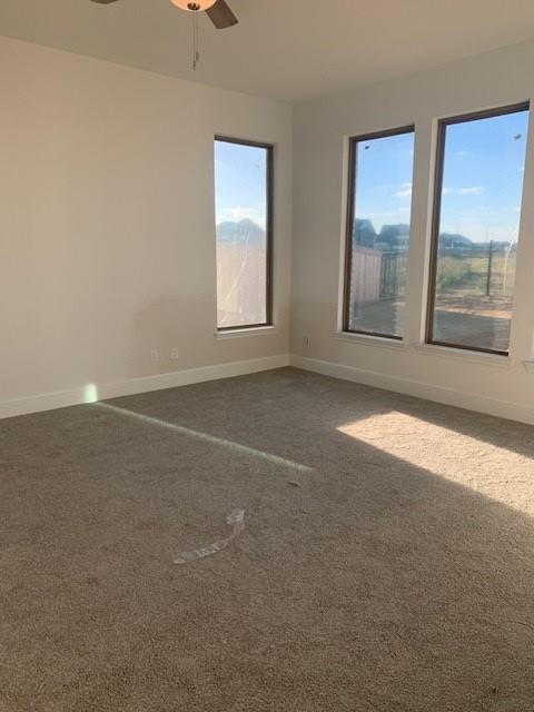 19922 Prairie Spider Way