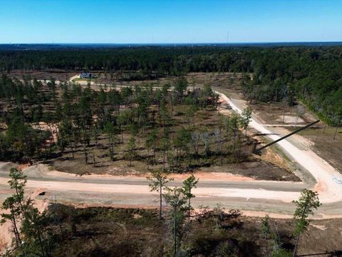 Photo of 126 Tranquility Road, Livingston, TX 77351 (MLS # 30741766)