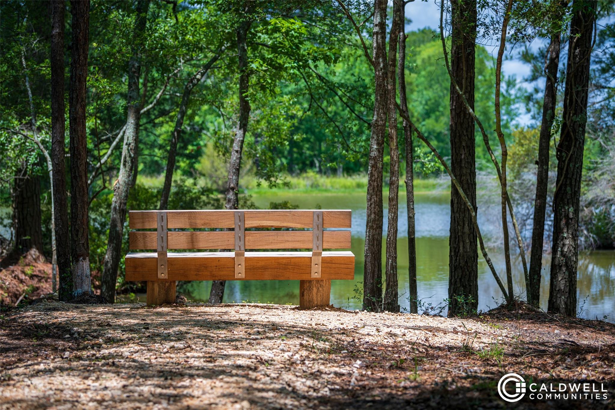 14015 Hawk Vista Court