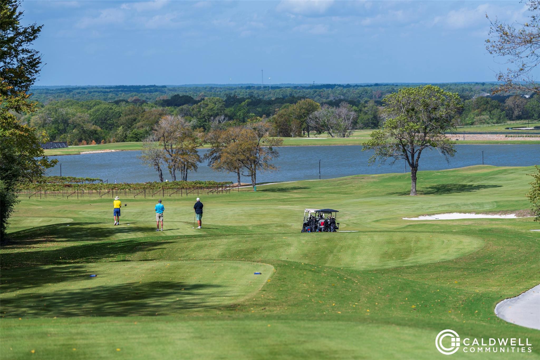 14015 Hawk Vista Court