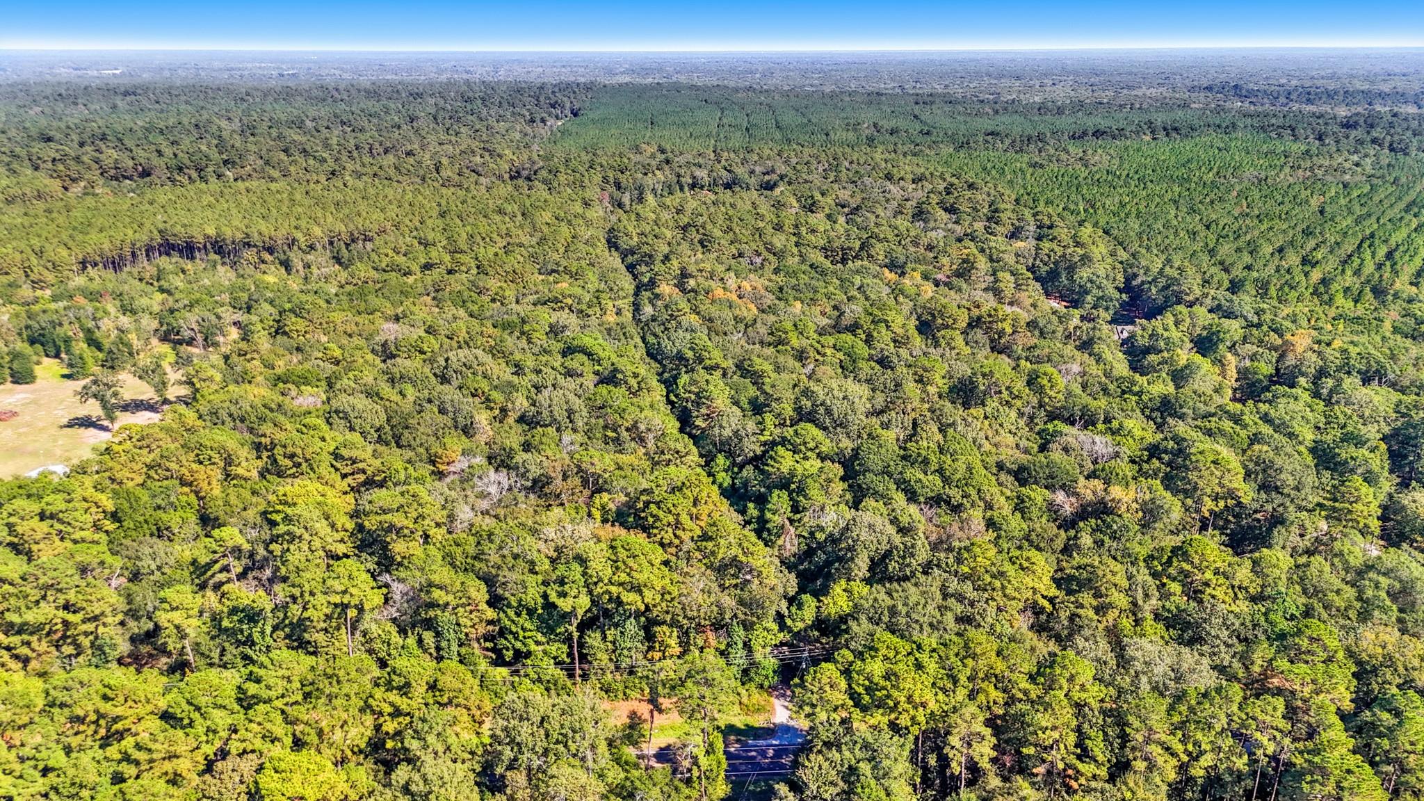 00000 Simmons Bottom Road