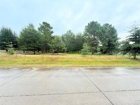 Vacant Land For Sale - 41 County Road 3410<br/> Liberty County, Cleveland, TX 77327