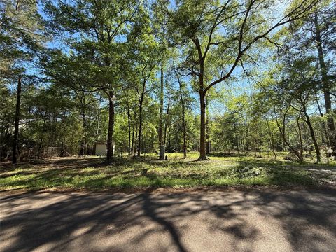 Photo of 13959 County Road 201 Loop, Plantersville, TX 77363 (MLS # 18212606)