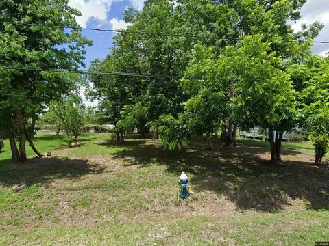 8000 Orebo Street Houston TX 77088