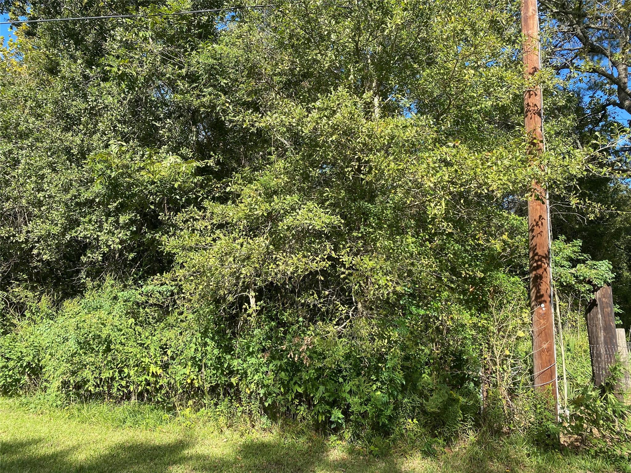 2653 County Road 348
