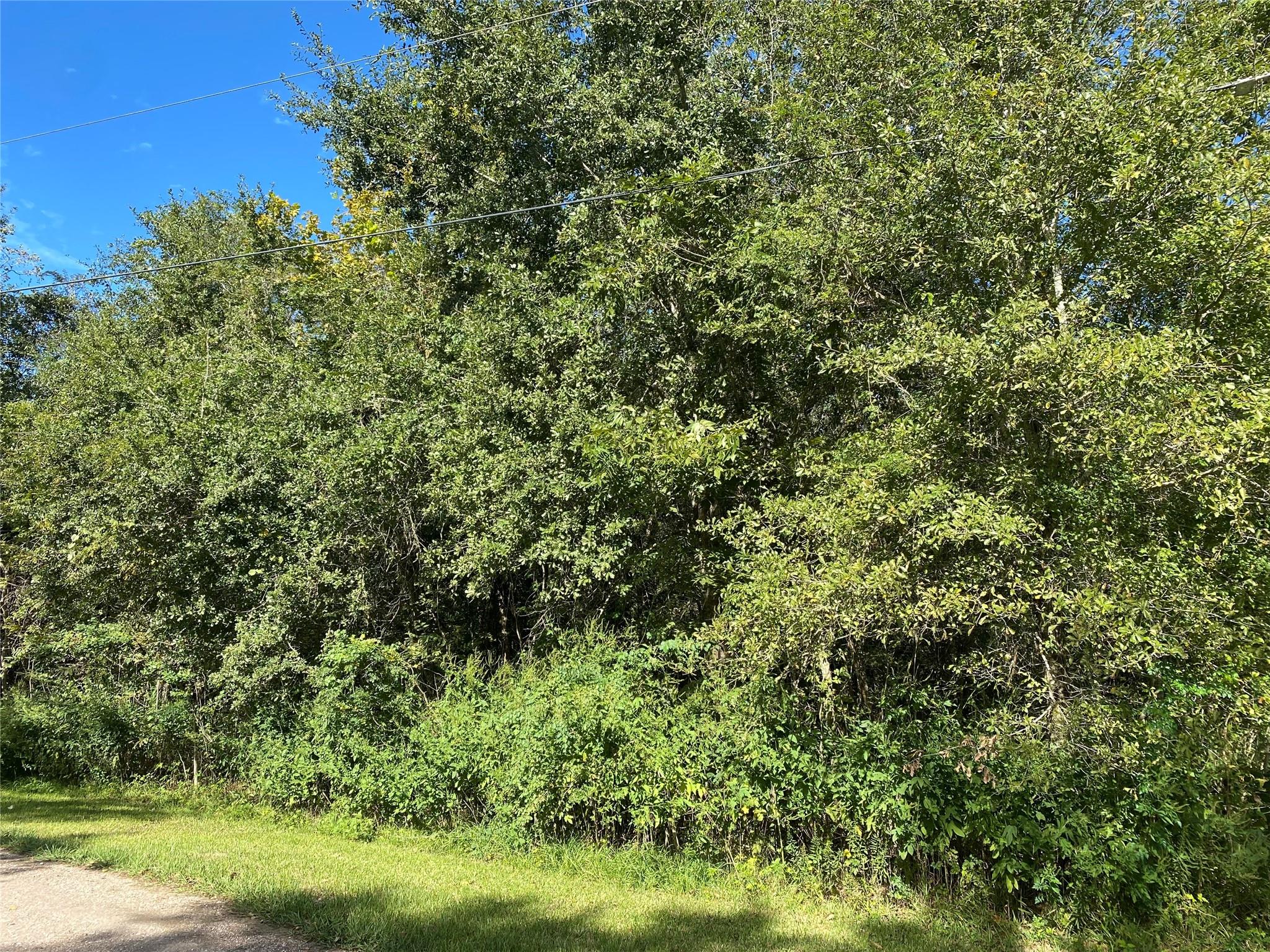 2653 County Road 348