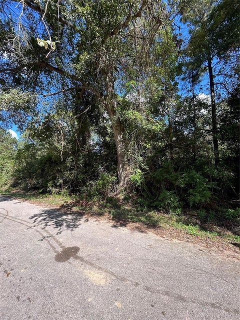 Photo of 0 Myrtie Dr, Shepherd, TX 77371 (MLS # 75029801)