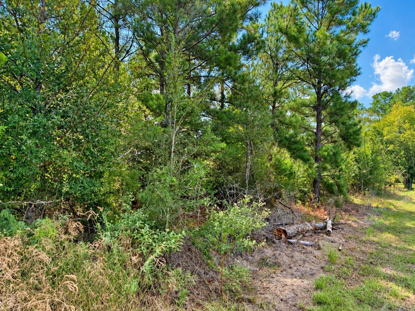 TBD Oakwood Drive