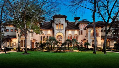 19 Hepplewhite Way The Woodlands TX 77382