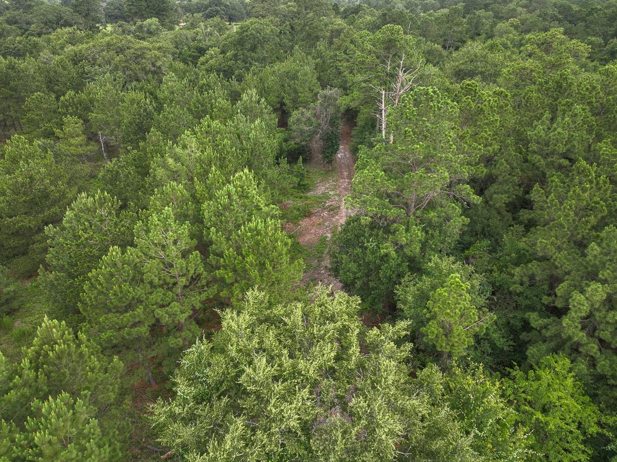 0 County Road 227