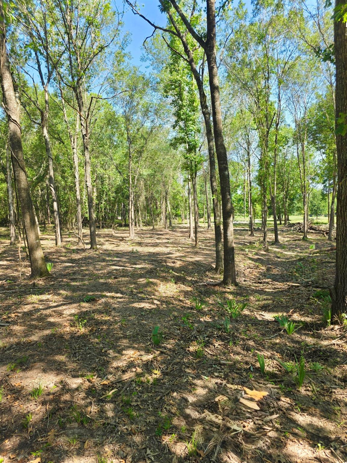 Tract A Sharpwest Trail