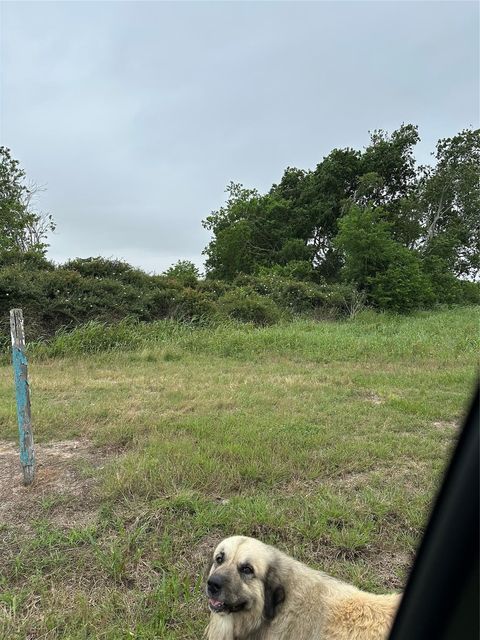 Vacant Land For Sale - W County Road 465 Texaco Road<br/> Blessing, TX 77419
