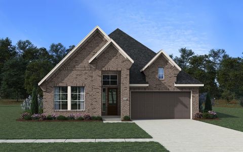 236 Congo Bay Circle Willis TX 77318