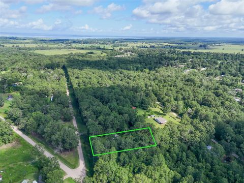 Vacant Land For Sale - 116 San Juan<br/> Goodrich, TX 77335