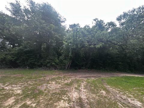 Vacant Land For Sale - TBD Old Israel Road<br/> Livingston, TX 77351