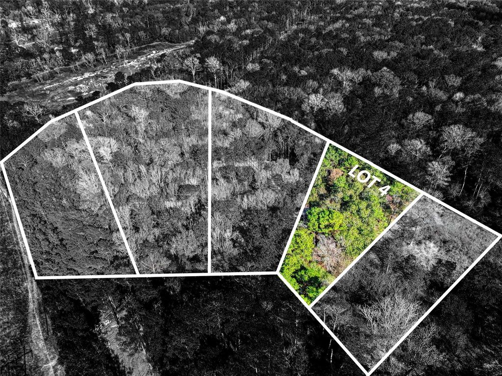 Photo of 0 Roman Forest Tbd, Roman Forest, TX 77357 (MLS # 3274116)