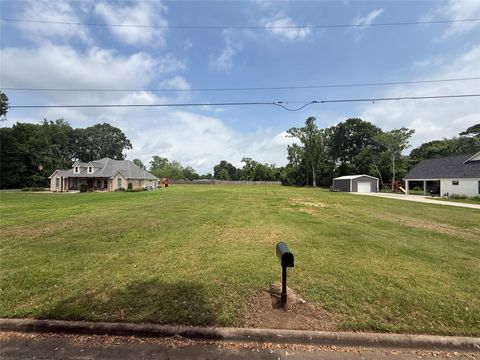 Photo of 1615 Holly Street, Liberty, TX 77575 (MLS # 36979509)