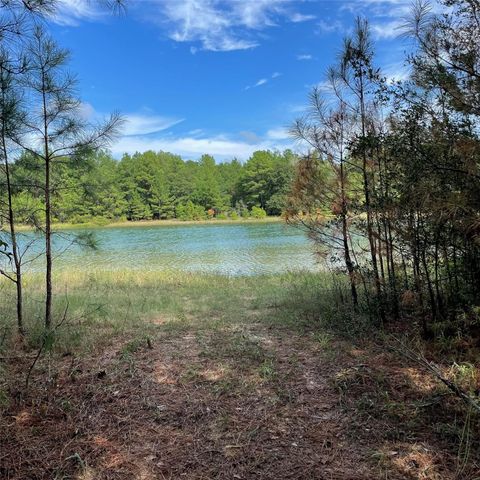 Photo of 29340 Clydesdale Drive, Waller, TX 77484 (MLS # 14963075)