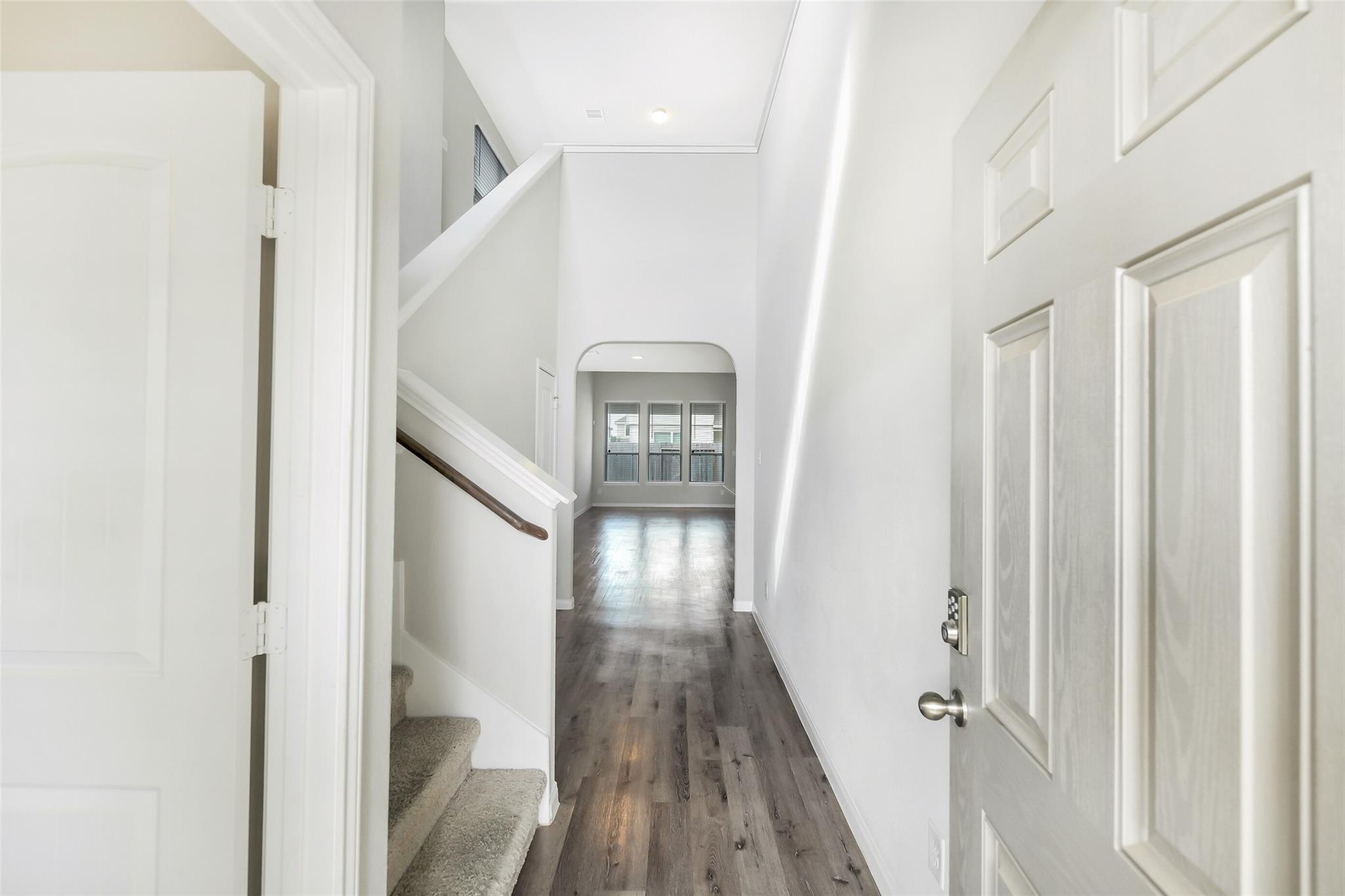 23643 Buttress Root Drive