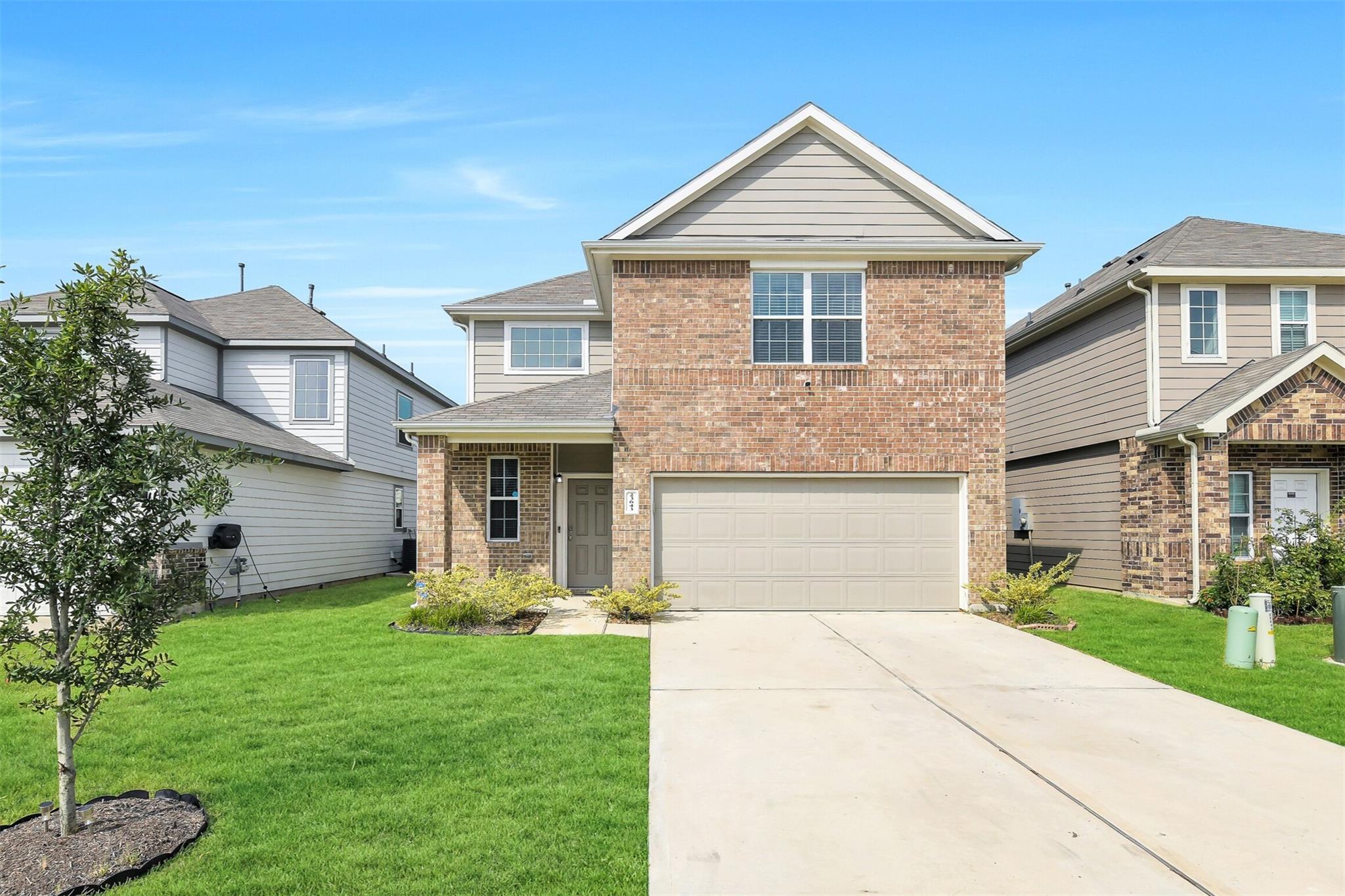 23643 Buttress Root Drive